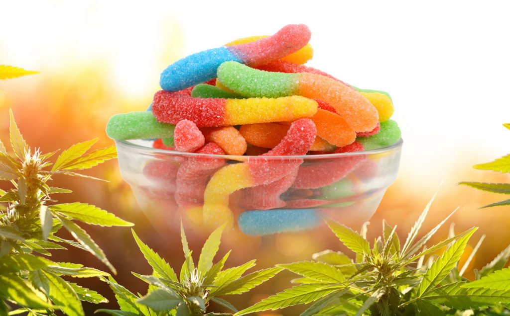 cbd-edibles