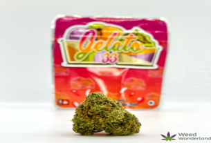 The Advantages of Shopping Weed Online from Canna City